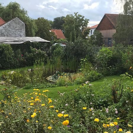 Schoene Gemuetliche Ferienwohnung Mit Kamin II Im Harz Darlingerode Buitenkant foto