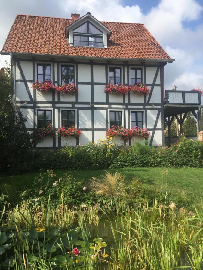 Schoene Gemuetliche Ferienwohnung Mit Kamin II Im Harz Darlingerode Buitenkant foto