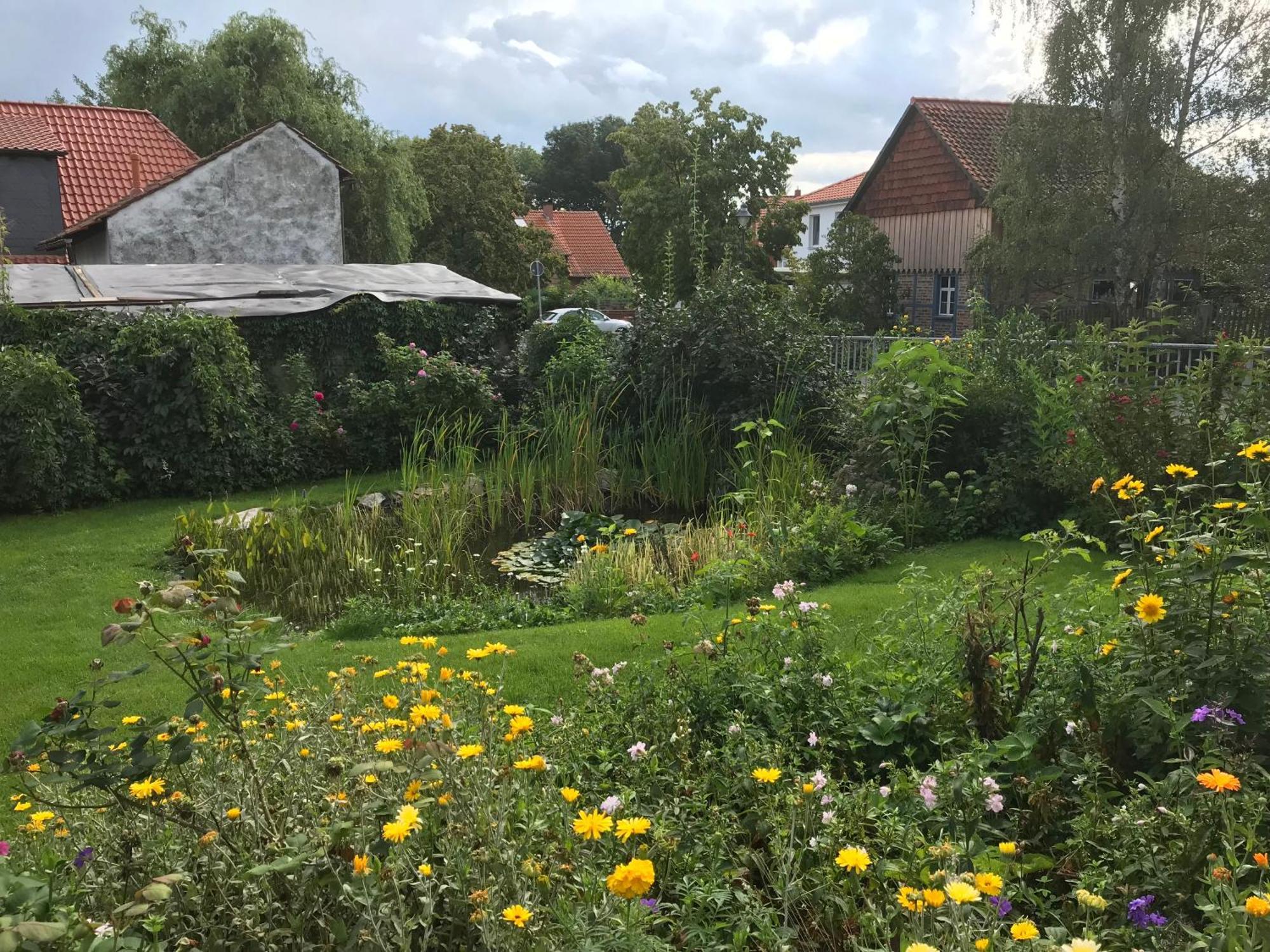 Schoene Gemuetliche Ferienwohnung Mit Kamin II Im Harz Darlingerode Buitenkant foto